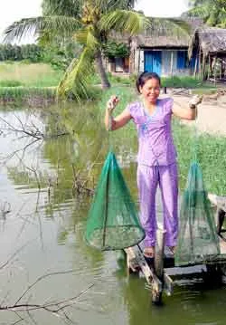 Những nông dân cuối cùng của quận 7