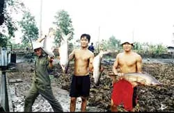 Nơi ấy bình yên