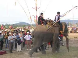 Đàn voi nhà trước nguy cơ... tan đàn