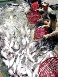 Cứu người cũng là cứu mình