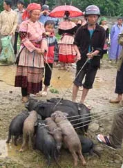 Chợ phiên Bắc Hà sẽ biến mất? ảnh 2