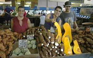 Bài 2: Nghịch lý hay hợp lý?