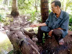 Nhà điêu khắc miệt vườn