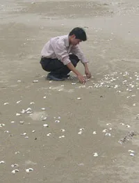 Nợ ngập đầu vì… nghêu, tôm