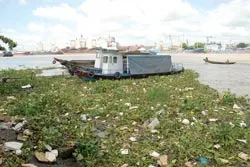 Lại nói về ô nhiễm sông Sài Gòn: Bảo vệ ngay trước khi quá muộn