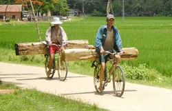 Bình Định: Chào thua lâm tặc? ảnh 2