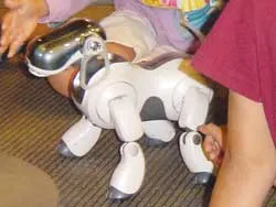 Nhật Bản và nền công nghiệp robot ấn tượng