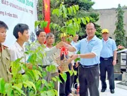 Tặng 2,5 triệu cây giống trong chương trình bảo vệ môi trường