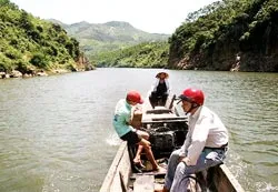 Lạc vào làng không Euro