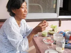 Nơi cuộc sống được tính bằng ngày