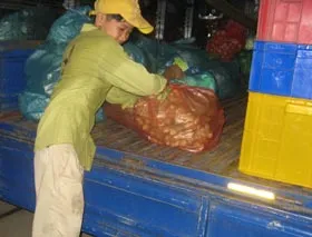 Thức cùng chợ đêm
