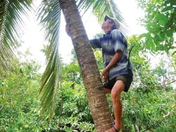 Ăn cơm dưới đất, làm việc lưng trời