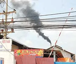 Thảm họa môi trường từ hành động phá vỡ cân bằng sinh thái