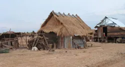 Dân phờ phạc vì “cơn lốc” cao su! ảnh 2