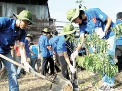 5 công trình thanh niên Mùa hè xanh 2008: Thu gom trên 1.200 tấn rác
