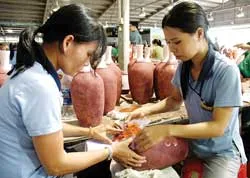 Công ty Natural-Choice Vietnam tăng cường nhân lực Việt Nam