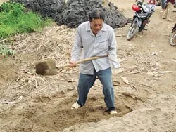 Những người giữ lá phổi của thành phố