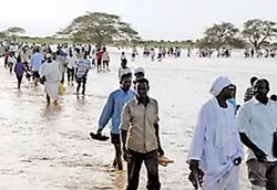 Mưa lũ hoành hành nhiều nơi