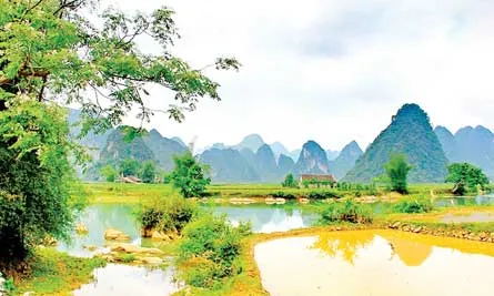 Thanh Bình. Ảnh: LÃ ANH