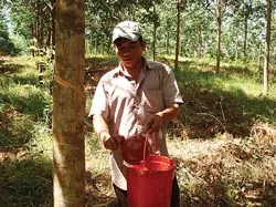 Đánh trống xin đừng bỏ dùi