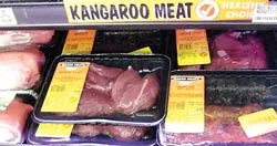 Australia : Ăn thịt kangaroo để bảo vệ môi trường? ảnh 2