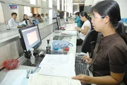 Chỉ nên triển khai rộng sau khi nghiệm thu
