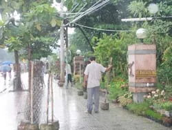 Công viên bị “xẻ thịt”, “lá phổi” teo dần