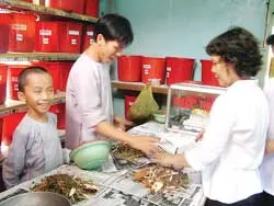 Phòng thuốc dân tộc từ thiện Tịnh xá Lộc Uyển : Địa chỉ thân thiết của dân nghèo