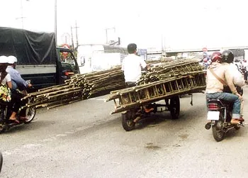 Góc ảnh bạn đọc