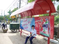 Bao giờ Vũng Tàu có nhiều xe buýt và chạy đúng giờ?