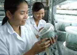 6 nhiệm vụ của Hội Nông dân TPHCM