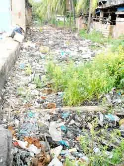 Cải thiện chất lượng môi trường bắt đầu từ những việc trong tầm tay