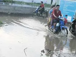 Ai chịu trách nhiệm?