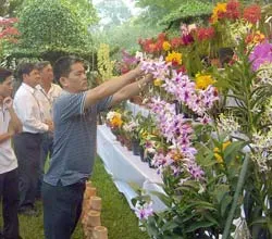 Hơn 150 gian hàng  tham gia Lễ Hội sinh vật cảnh lần 3