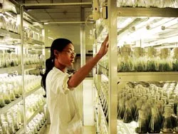 Phòng thí nghiệm trọng điểm hoạt động không hiệu quả: Đóng cửa!