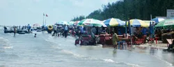 Cần Giờ mơ thành đảo du lịch ảnh 2