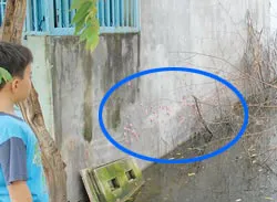 Nóng bỏng chuyện tách thửa đất ảnh 2