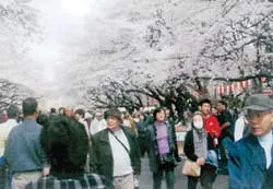 4 hoạt động trọng điểm trong “Tuần lễ Việt Nam 2008 tại Nhật Bản”