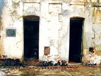 Sức mạnh từ những thước phim chân thật