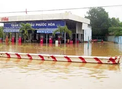 Mưa lũ hiếm thấy ở Đồng Nai: Thiệt hại lớn ảnh 2