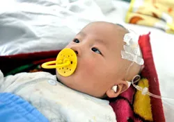 Vụ sữa bột nhiễm độc ở Trung Quốc: Nông dân cung cấp sữa bò là “thủ phạm”?