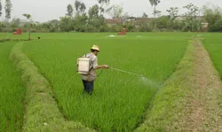ĐBSCL “ngập” phân hóa học, thuốc trừ sâu, nước thải…