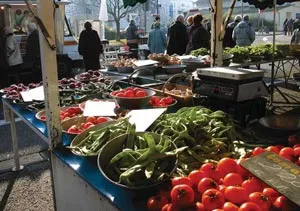 Ăn cây nhà lá vườn để bảo vệ môi trường