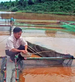 Quyết chí làm thuê để… làm chủ!
