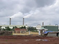 Vụ “giết” sông Thị Vải: Sáng nay, Công ty Vedan bị đình chỉ hoạt động