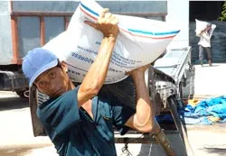 Sẽ bảo đảm xuất khẩu 4,5 triệu tấn gạo