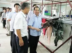 Bài 4: Củ Chi và chuyện bên dòng kênh Đông