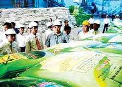 Phó Thủ tướng Hoàng Trung Hải thăm và làm việc tại Nhà máy Phân bón Năm Sao