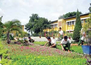 Sư đoàn tuổi ba mươi ảnh 2