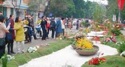 Cả nước đón chào năm mới 2009